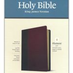 KJV Personal Size Giant Print Bible, Filament Enabled (LeatherLike, Brown/Mahogany, Red Letter)