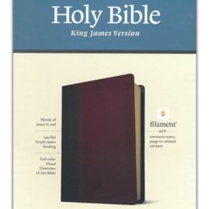 KJV Personal Size Giant Print Bible, Filament Enabled (LeatherLike, Brown/Mahogany, Red Letter)