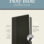 KJV Personal Size Giant Print Bible, Filament Enabled (LeatherLike, Black/Onyx, Indexed, Red Letter)