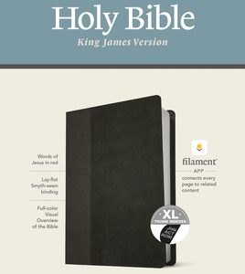 KJV Personal Size Giant Print Bible, Filament Enabled (LeatherLike, Black/Onyx, Indexed, Red Letter)